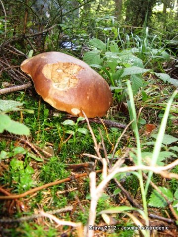 Sústredenie - Orava 2012