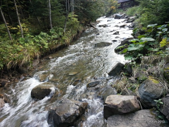 Orava 2013