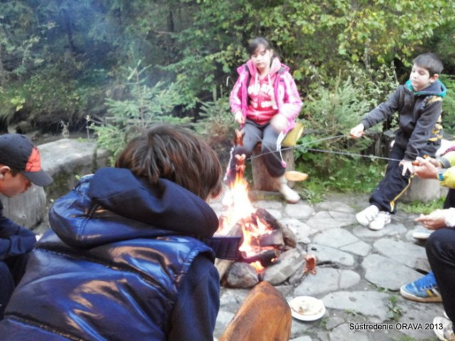 Orava 2013