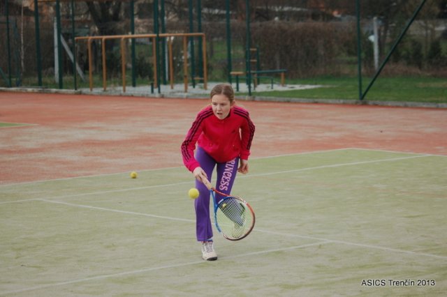 Výročná členská schôdza 2013