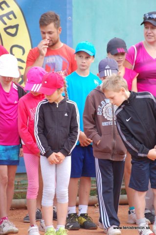 Detský Davis-Fed cup 2014