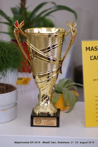 Matúš - MSR 2016